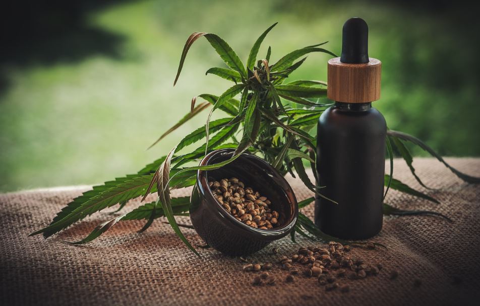Reviews of the Best CBD Oil in the Market
